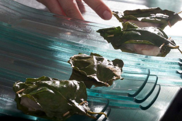 palamita tra foglie di limone