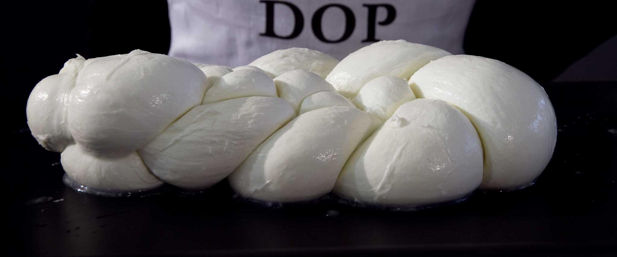 mozzarella bufala