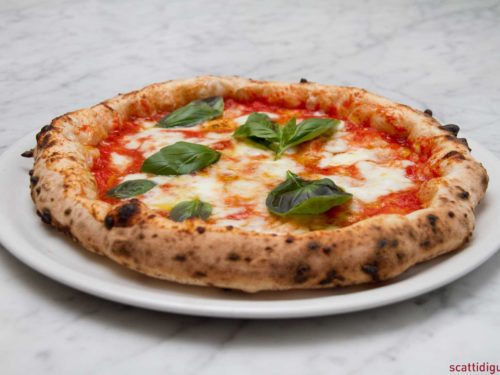 pizza margherita