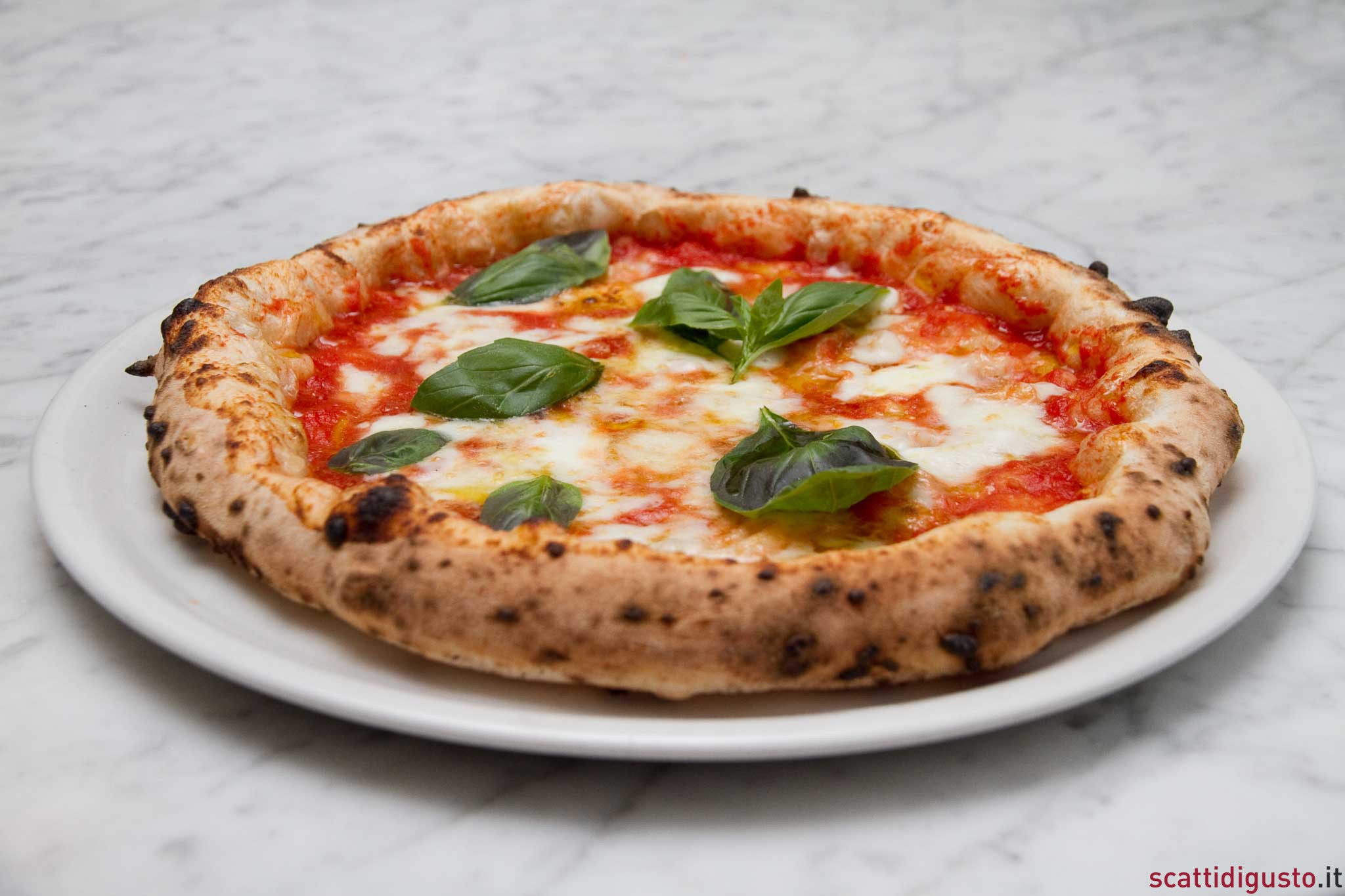 pizza margherita