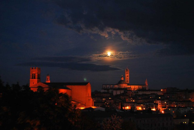 Calici-di-Stelle-2013-Siena