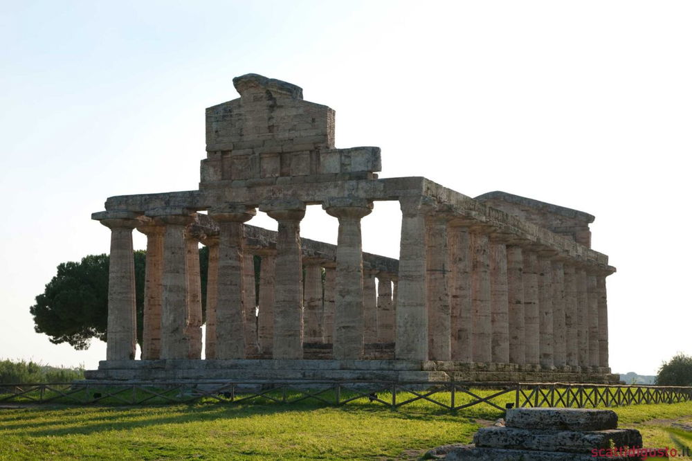Paestum. Genovese di tonno e spigola fritta all'osteria Torre di Mare Paestum. Genovese di tonno e spigola fritta all'osteria Torre di Mare