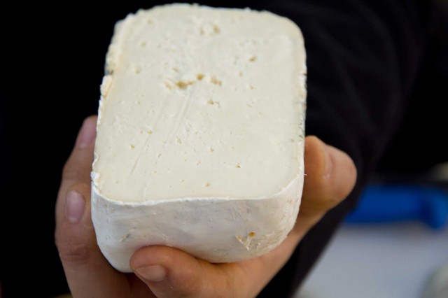 Beer Cheese Dol