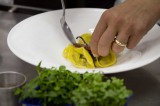 tortelli ripieni di coda vaccina