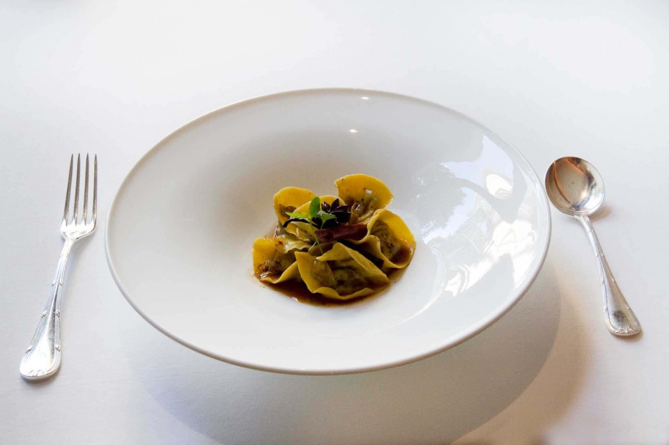 tortelli ripieni di coda vaccina