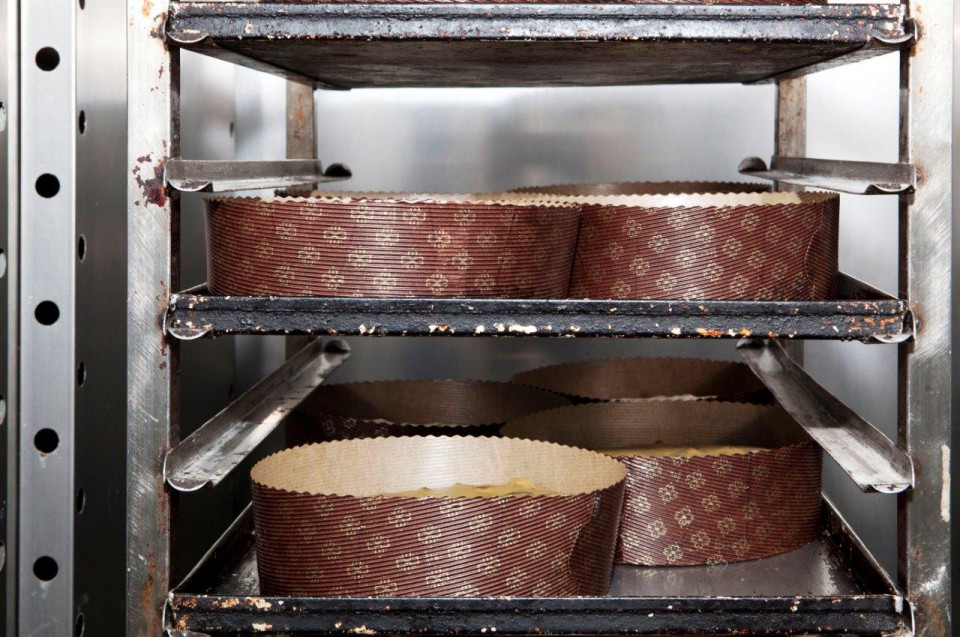 panettone lievitazione