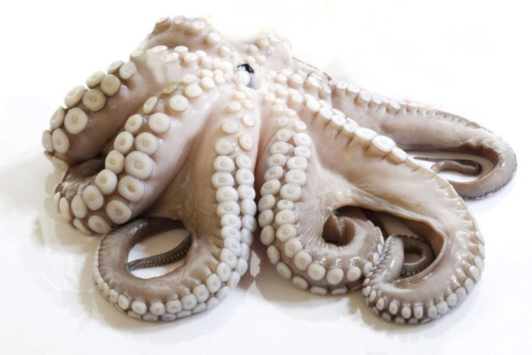 Il polpo alla galiziana della Pulperia a Milano [CHIUSO]