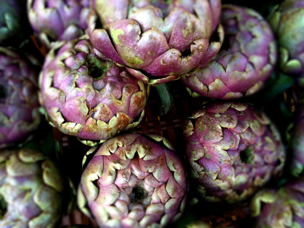 Carciofi. 10 qualità e ricette per la pasta, il forno e la brace