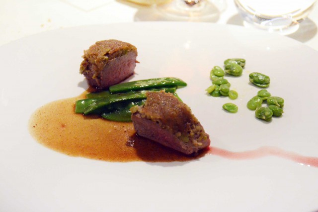 agnello