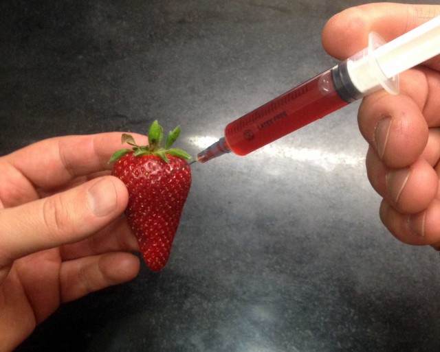 preparazione fragole