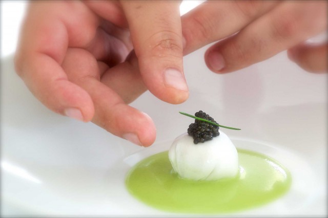 mozzarella ostrica caviale