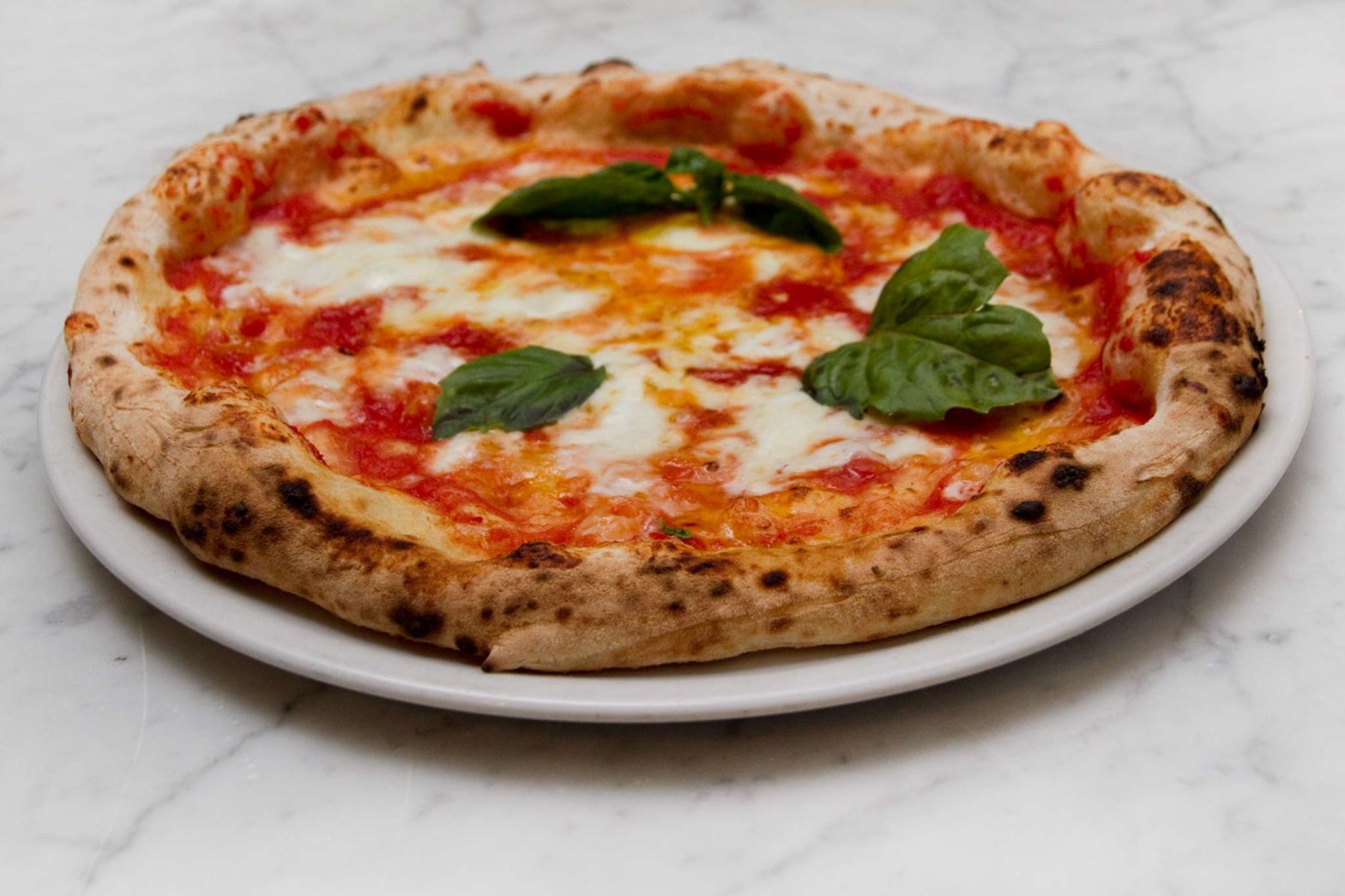 pizza margherita