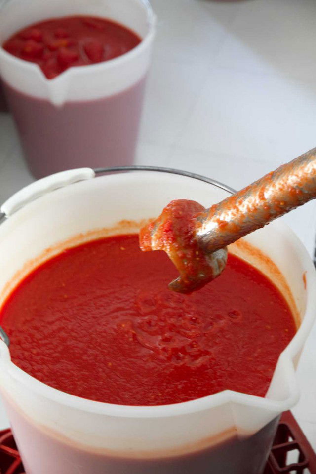 Pizza napoletana a ruota di carro fatta in casa