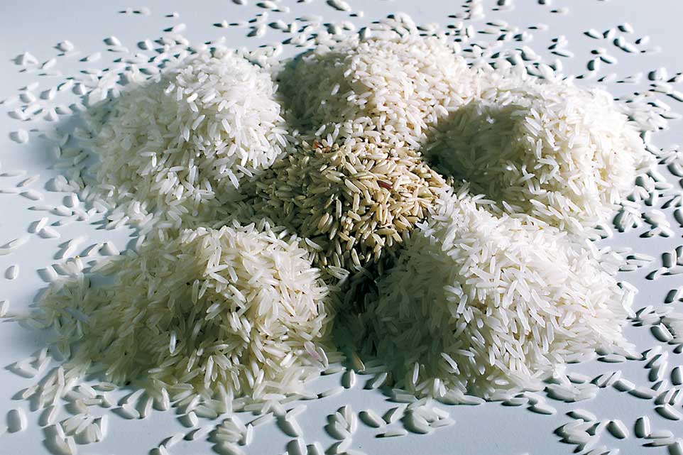 Salone del Gusto. Il giro del mondo in 15 presidi Slow Food