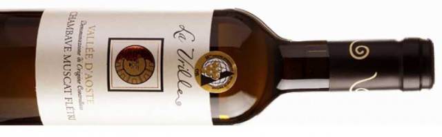 Muscat-Flétri-La-Vrille