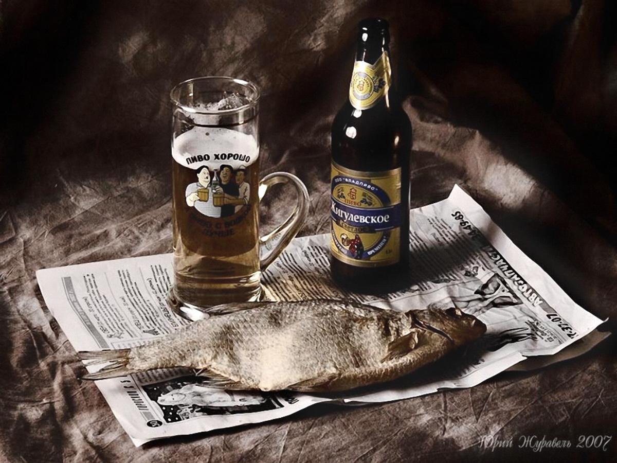 Рыба пьет пиво. Пиво Жигулевское с воблой. Пивной натюрморт. Натюрморт с пивом.