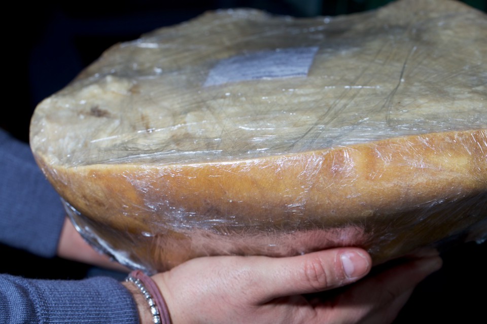 provolone