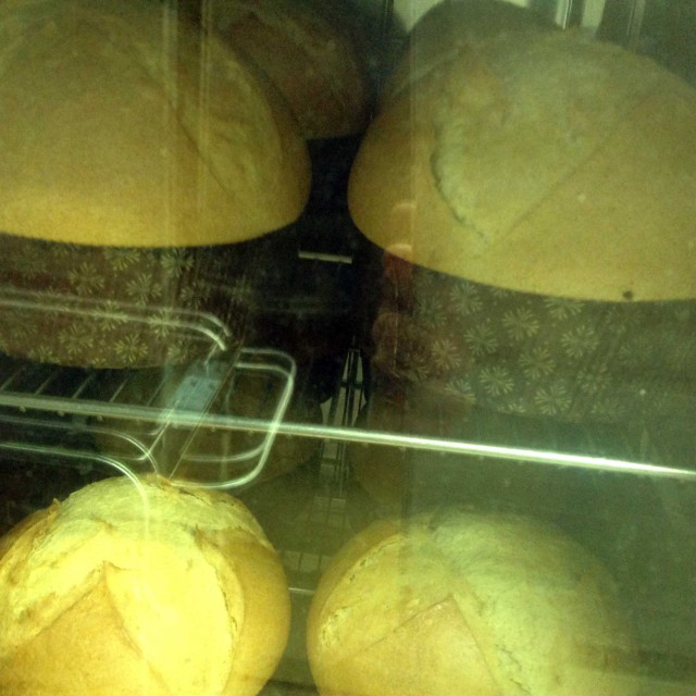 ricetta pizza pasqua 6