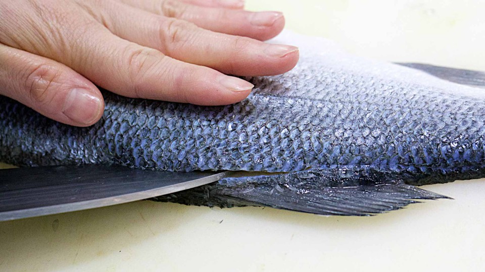 sushi come sfilettare il pesce dorso