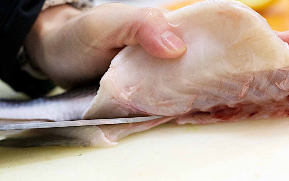 sushi come sfilettare il pesce pancia