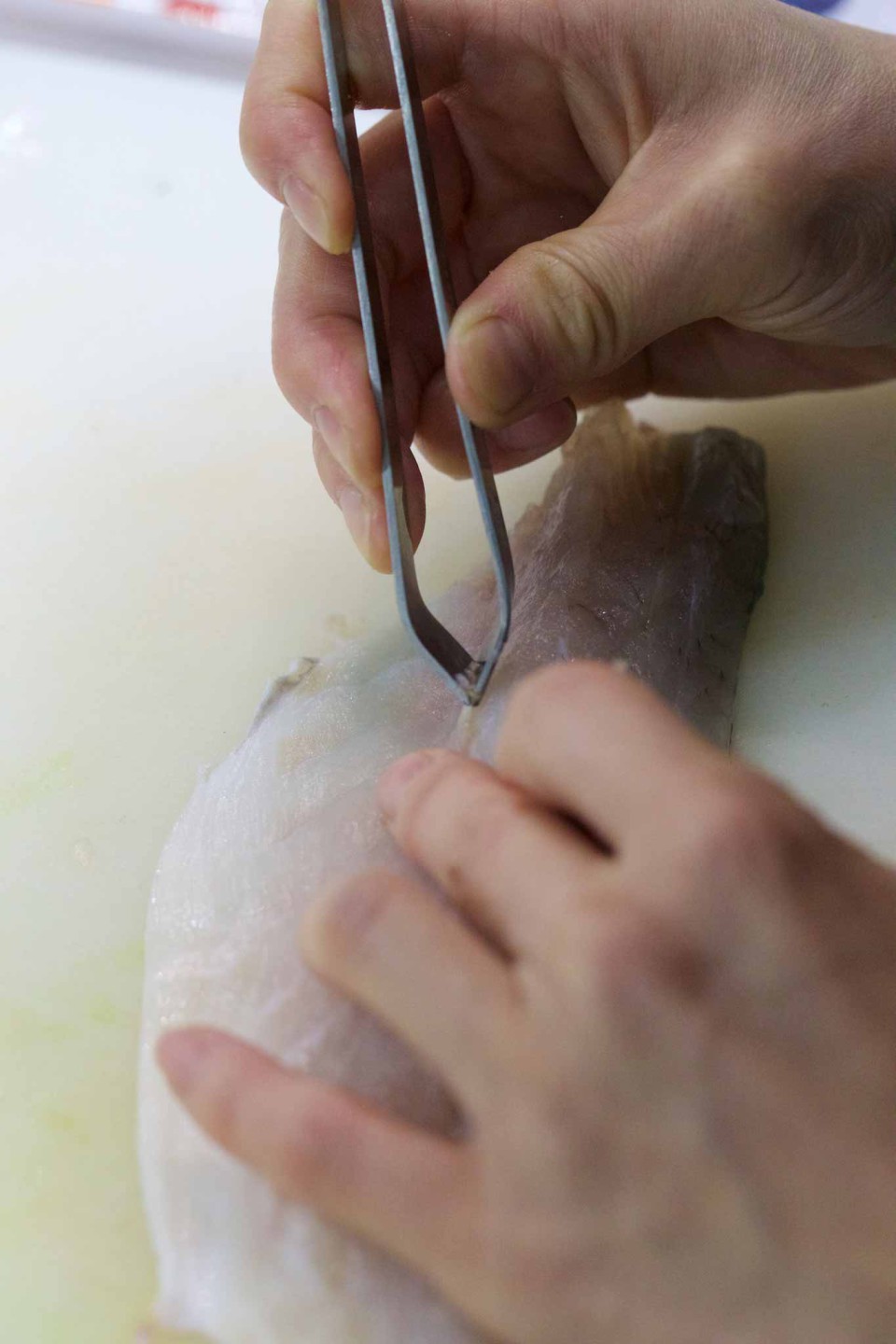 sushi come sfilettare il pesce pinzette