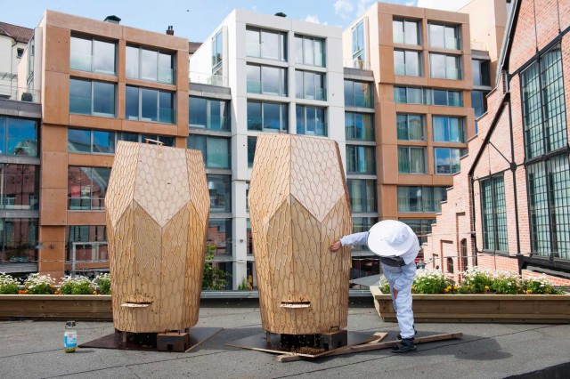 Snøhetta_VulkanBeehives-©-FinnStåleFelberg_N23web