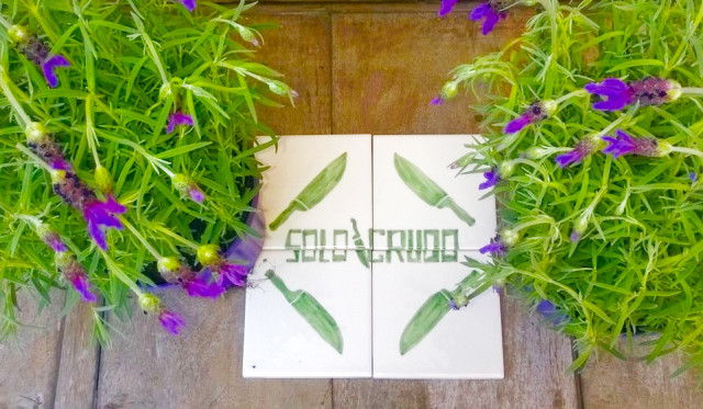 solo-crudo