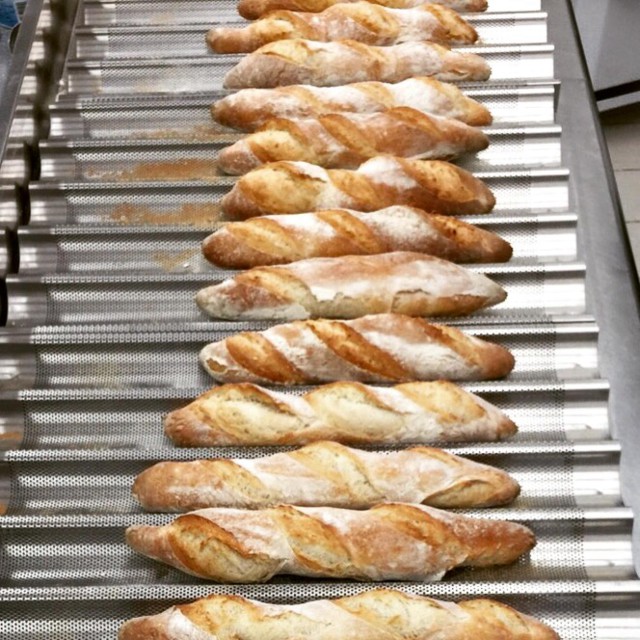 baguette Ricci