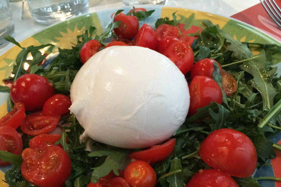 Milano. Dove comprare e mangiare la mozzarella di bufala
