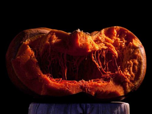 Zucca