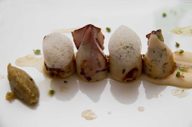calamaretti
