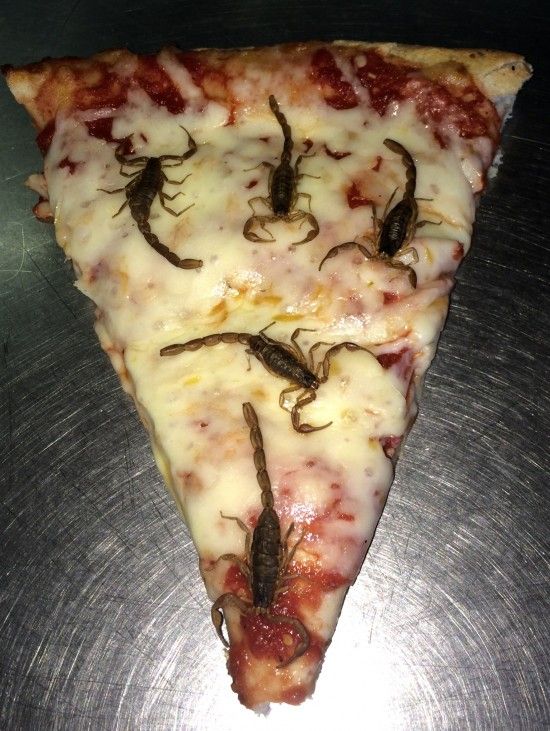 pizza e scorpioni