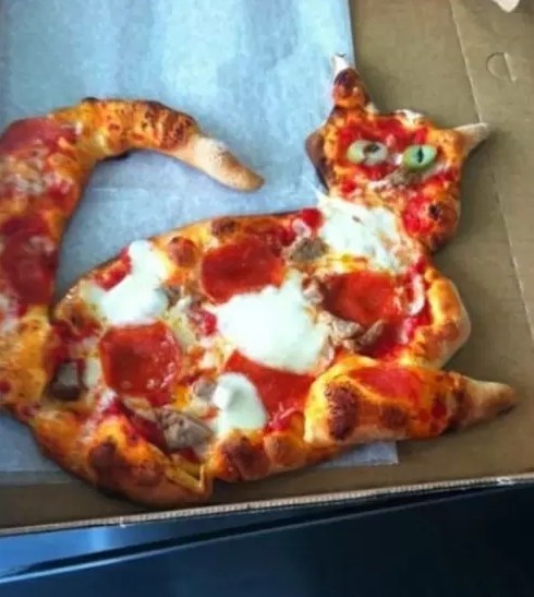 pizza e gattini