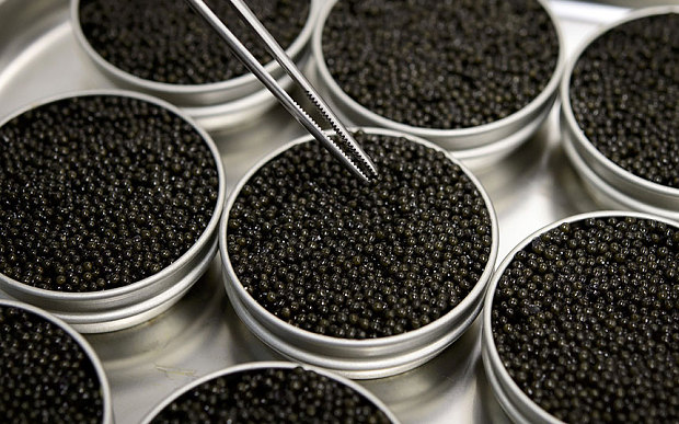 caviale