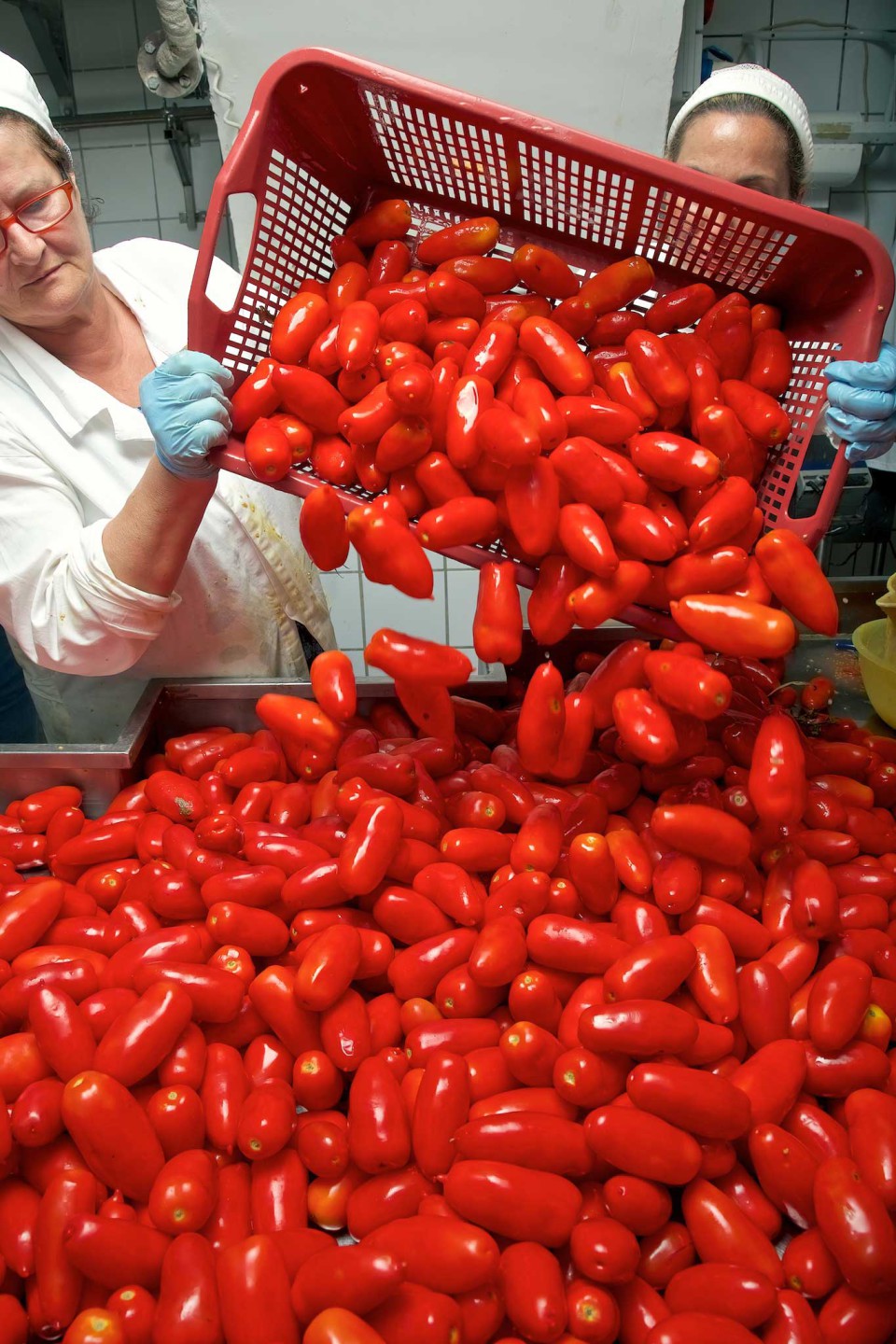 pomodori San Marzano