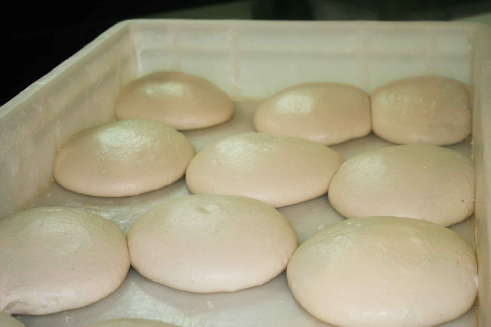 impasto pizza farina ricca