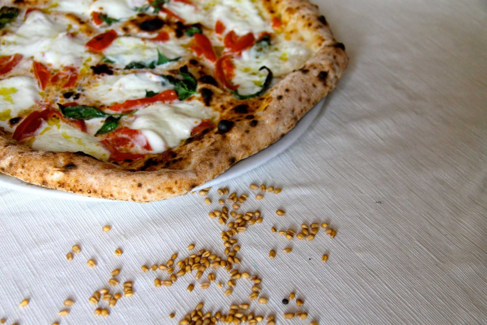 pizza e grano