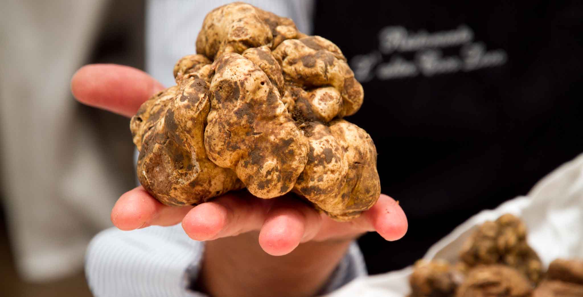 Tartufo bianco grande pezzatura