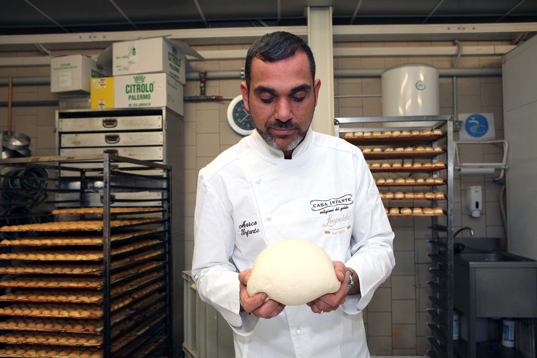 impasto panettone lievito madre