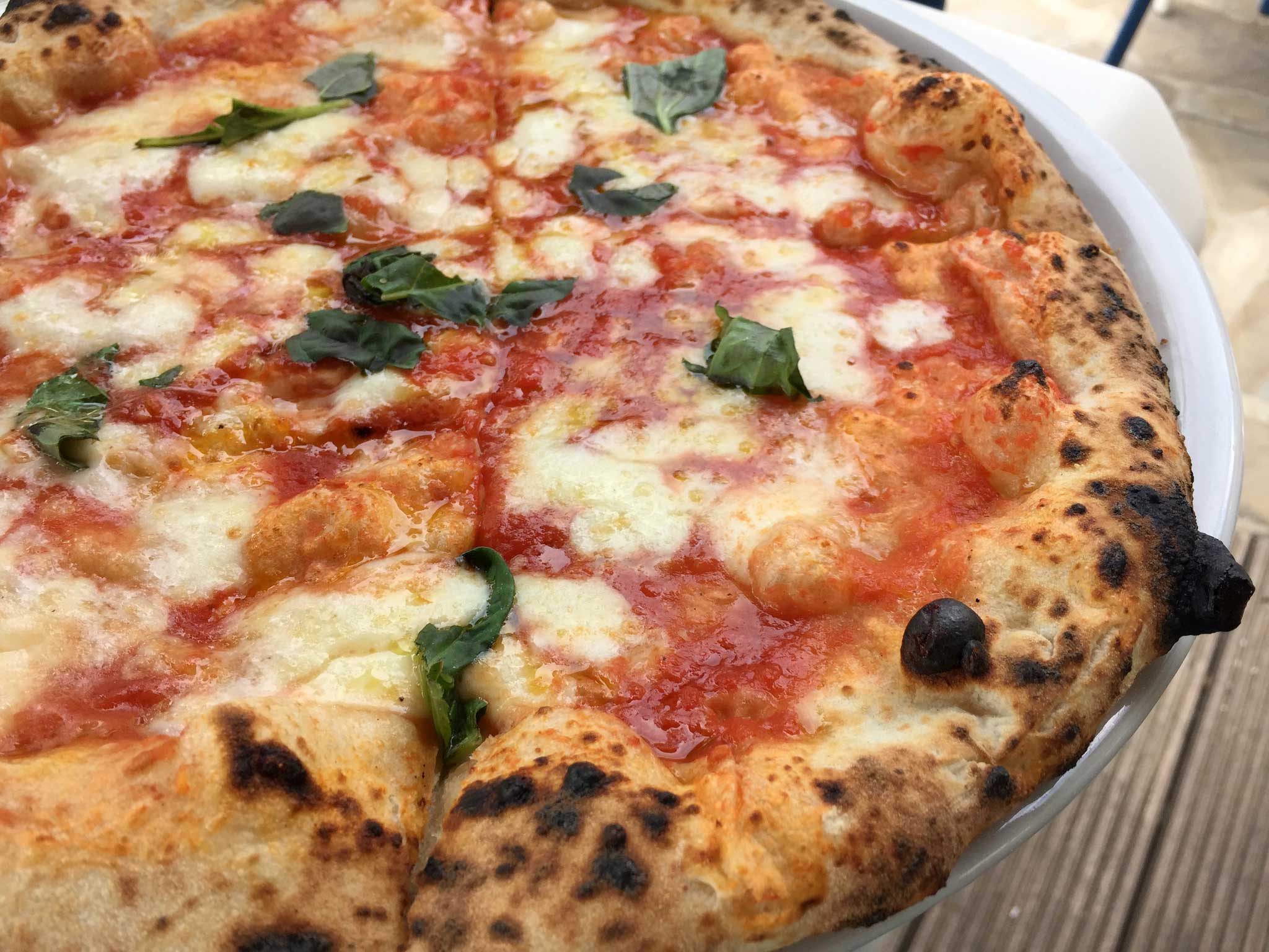 pizza margherita