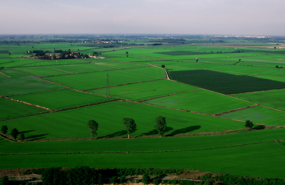 pianura padana