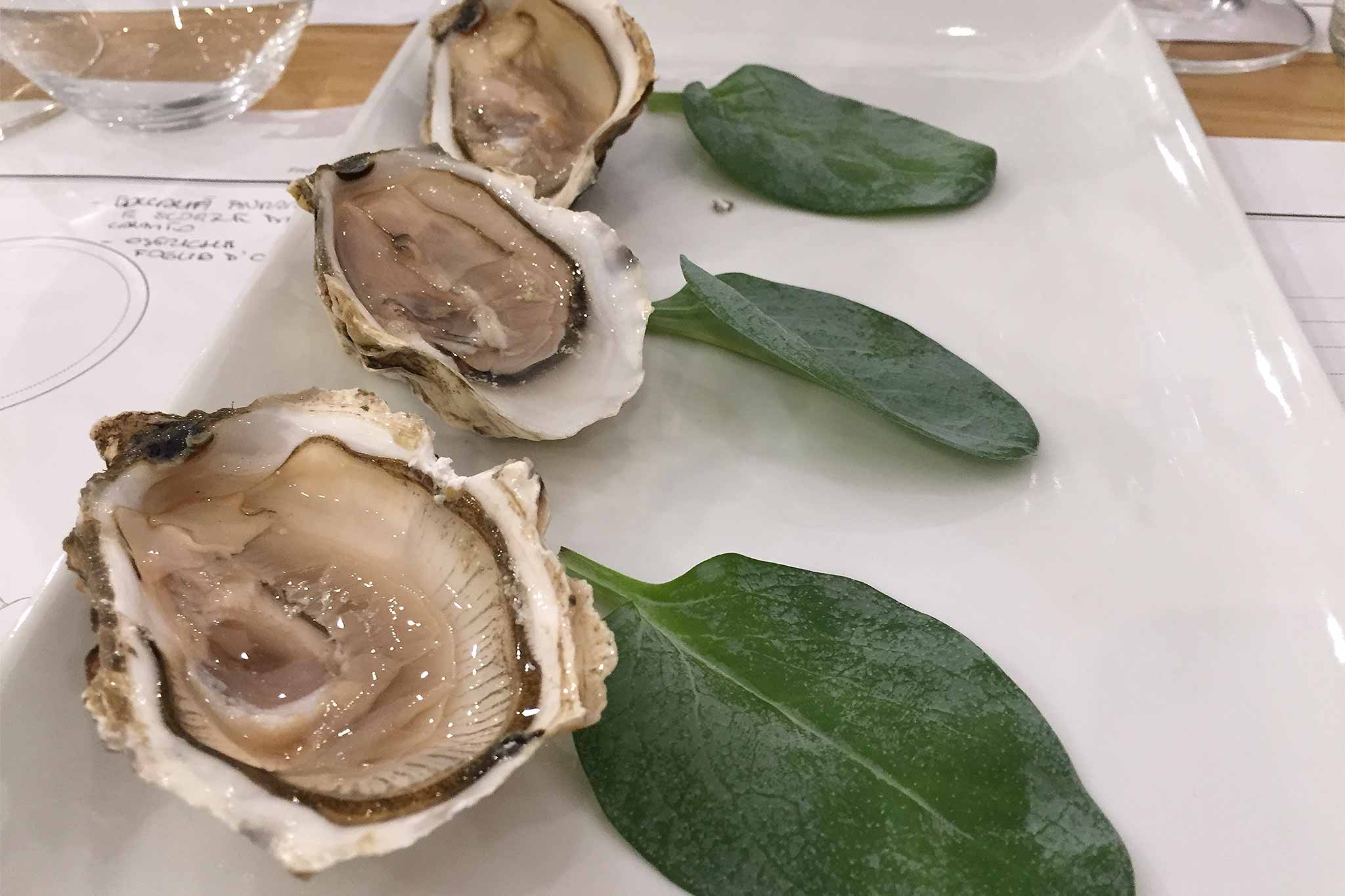 iodio-oyster