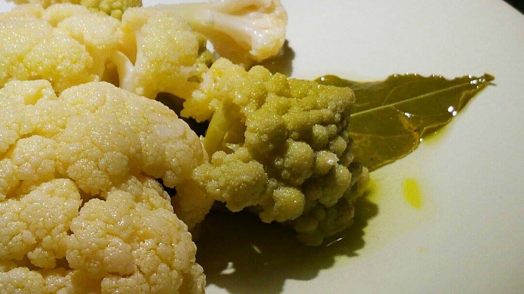 cavolo