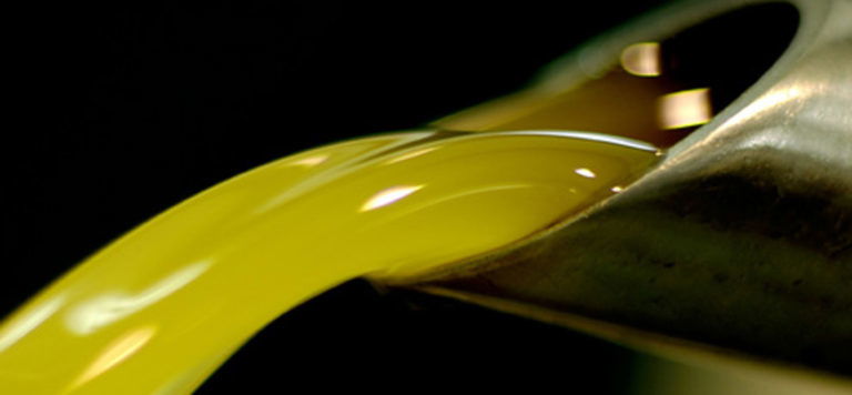Olio extravergine di oliva. I 12 vincitori del premio Ercole Olivario dominato dal Lazio