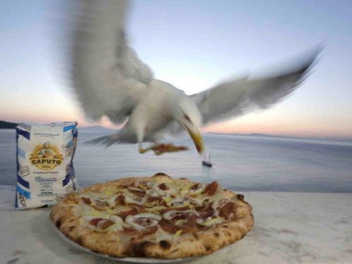 pizza estate