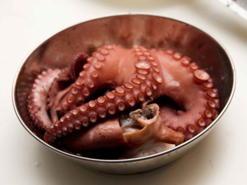 Polpo bollito