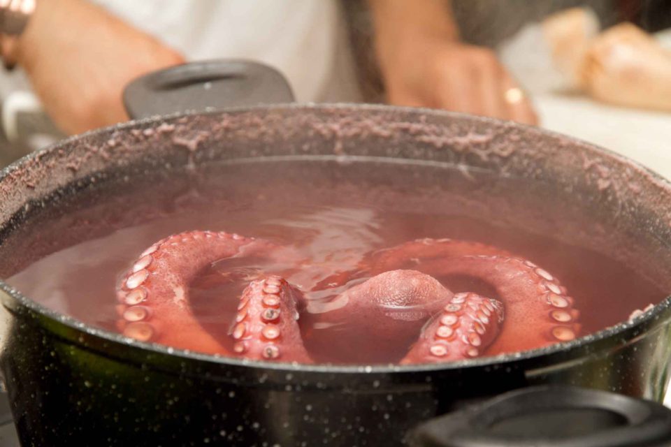 tentacoli polpo in acqua