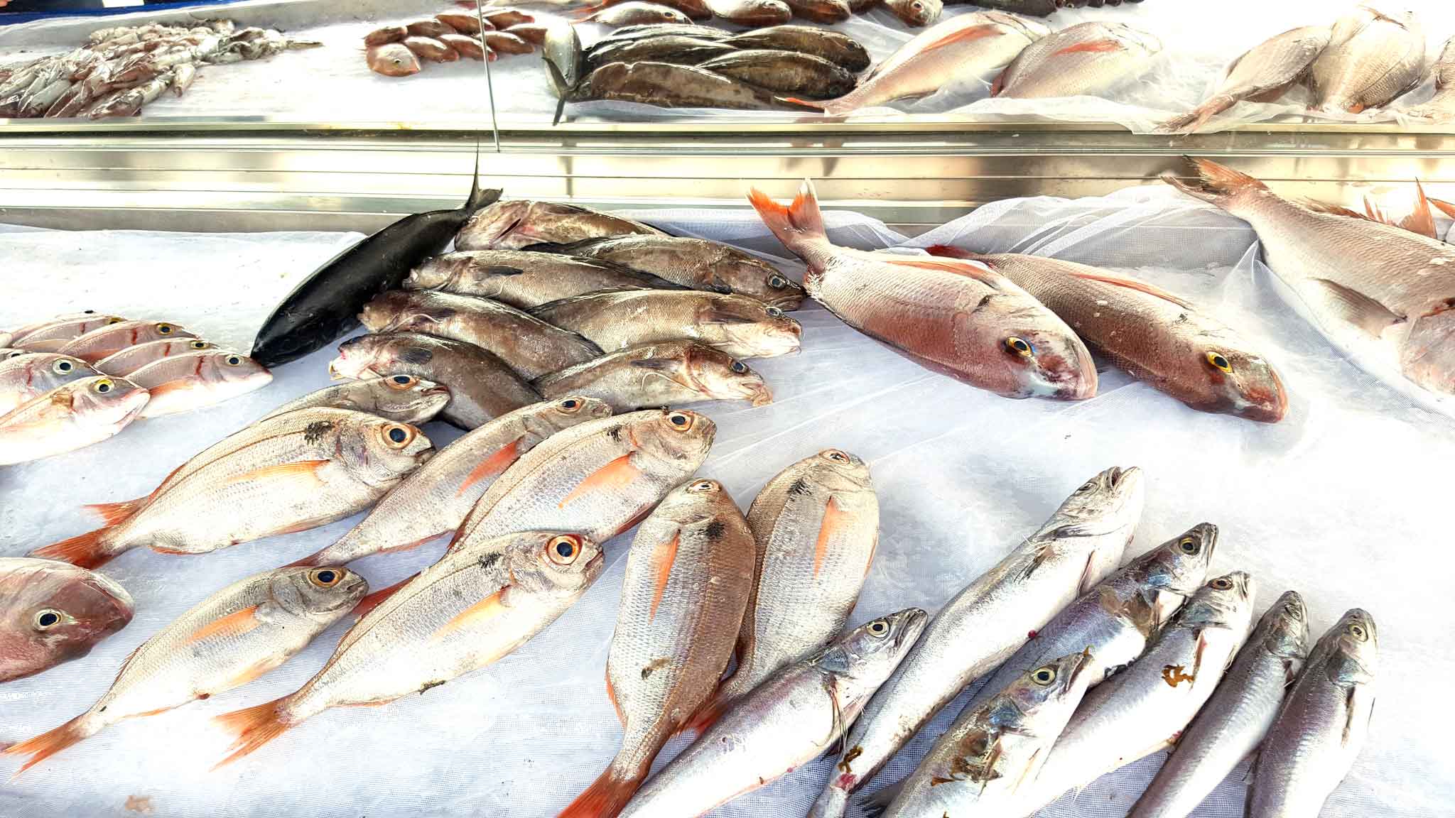 lampedusa-pescheria-pescato
