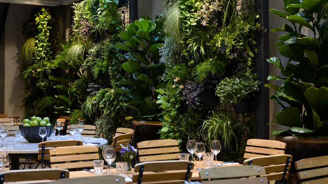 hosteria-mercato-roma