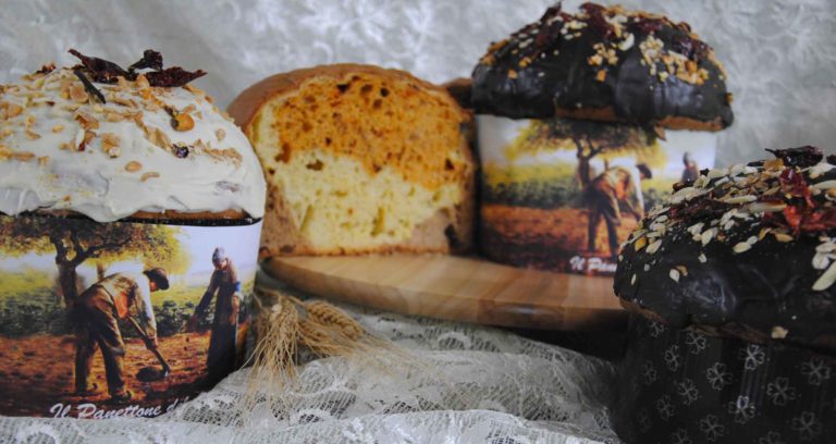 Cilento. Il Panettone del Contadino con formaggio e fichi sfida Una Mole di Panettoni a Torino